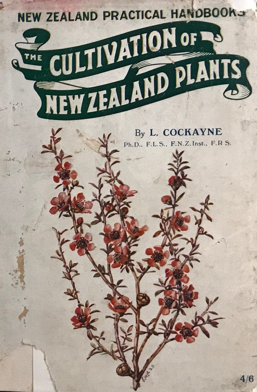 THE CULTIVATION OF NEW ZEALAND PLANTS