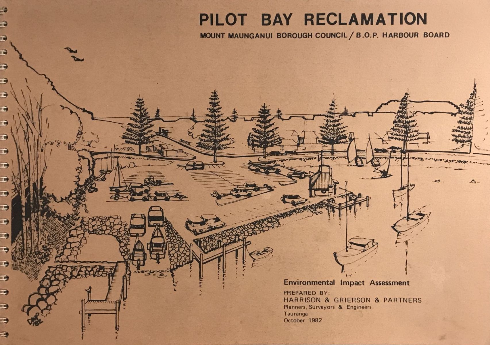 PILOT BAY RECLAMATION: Environmental Impact Assessment