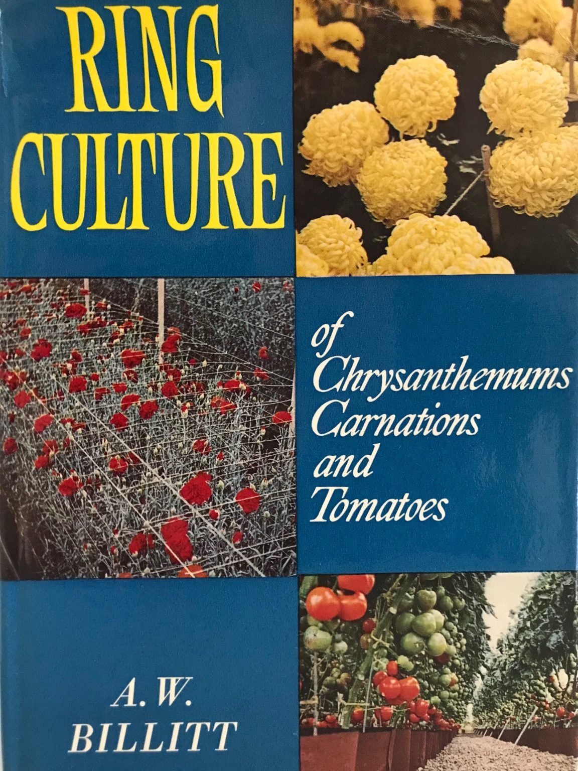 RING CULTURE: of Chrysanthemums Carnations and Tomatoes