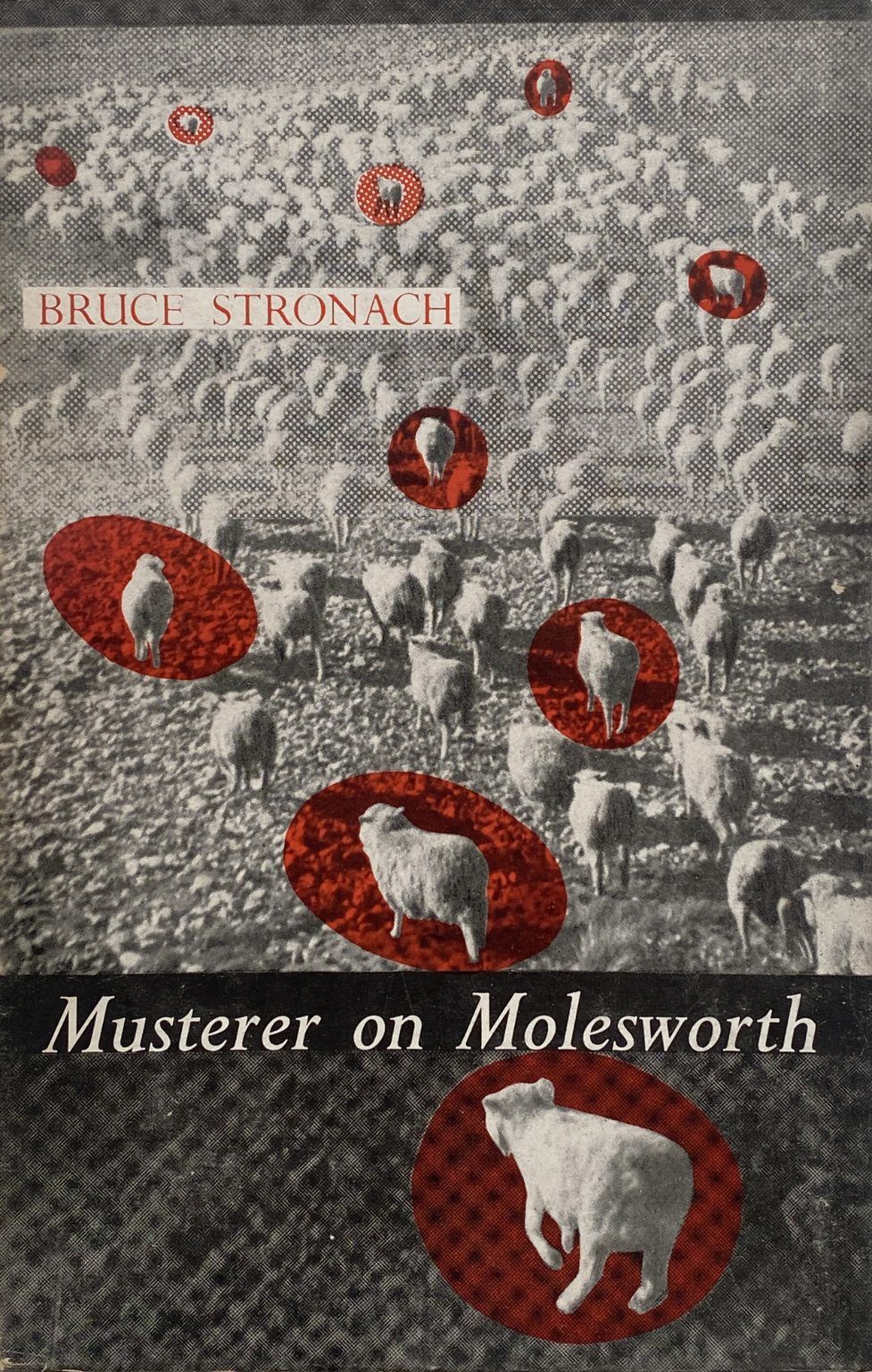 MUSTERER ON MOLESWORTH