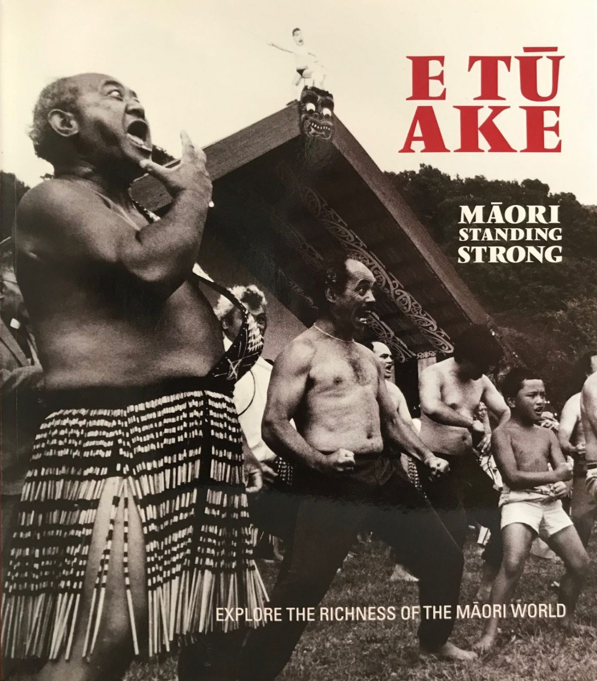 E TU AKE: Maori Standing Strong