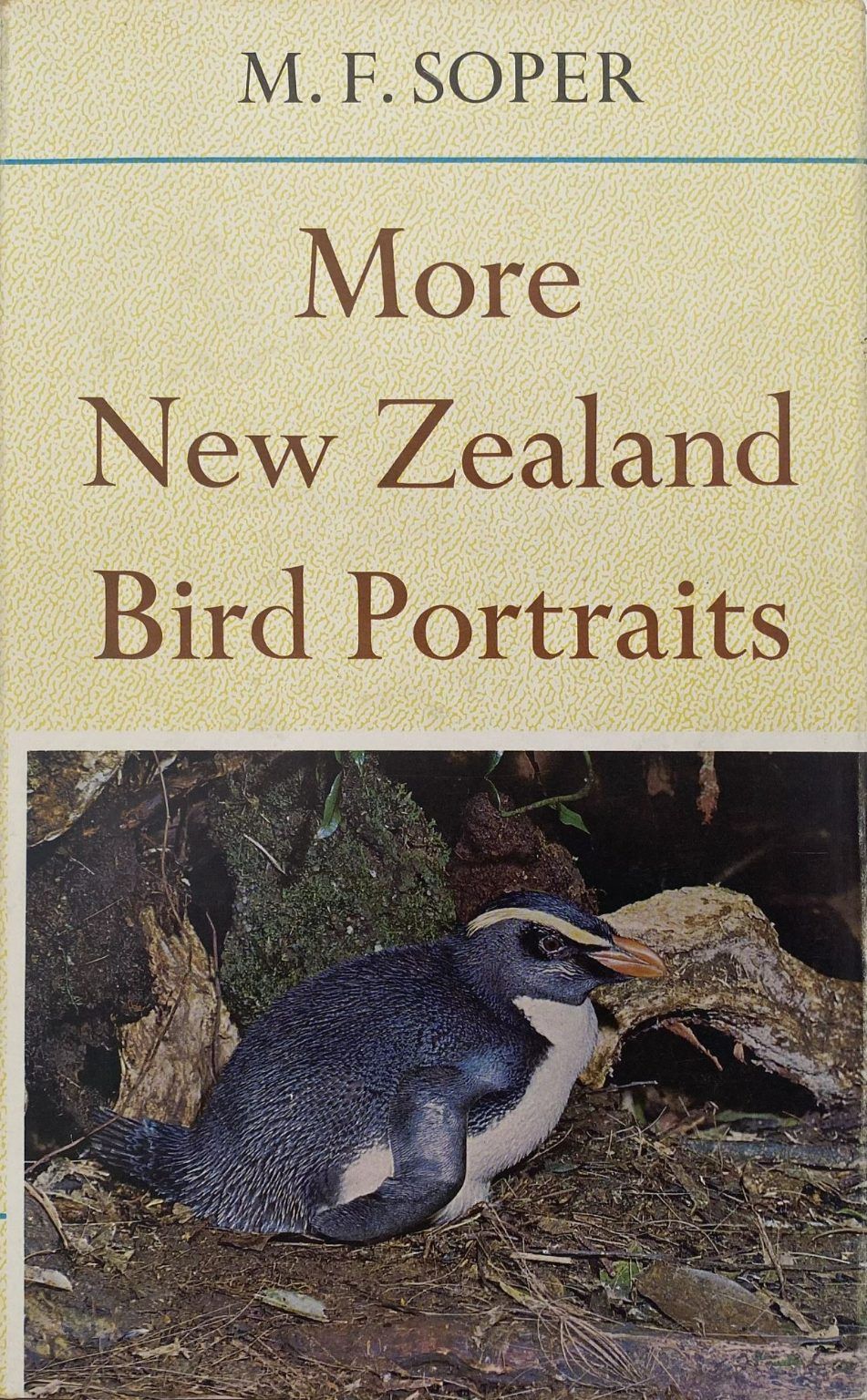 MORE NEW ZEALAND BIRD PORTRAITS