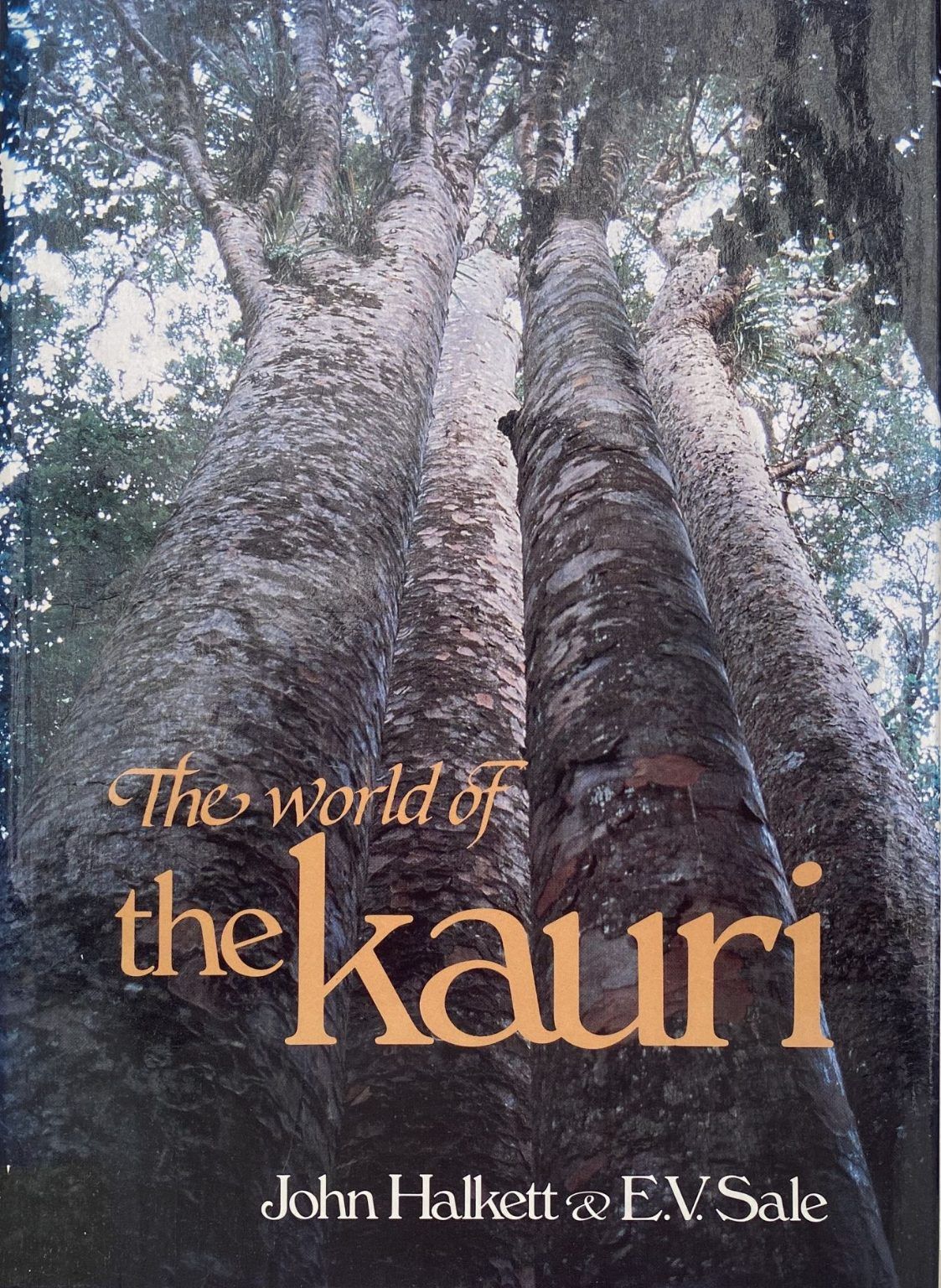 THE WORLD OF THE KAURI