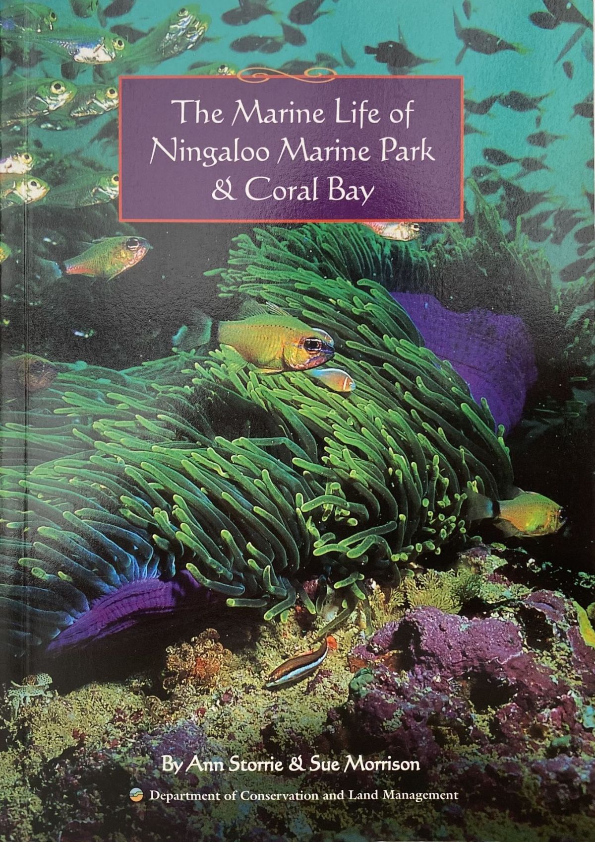 The Marine Life of Ningaloo Marine Park & Coral Bay