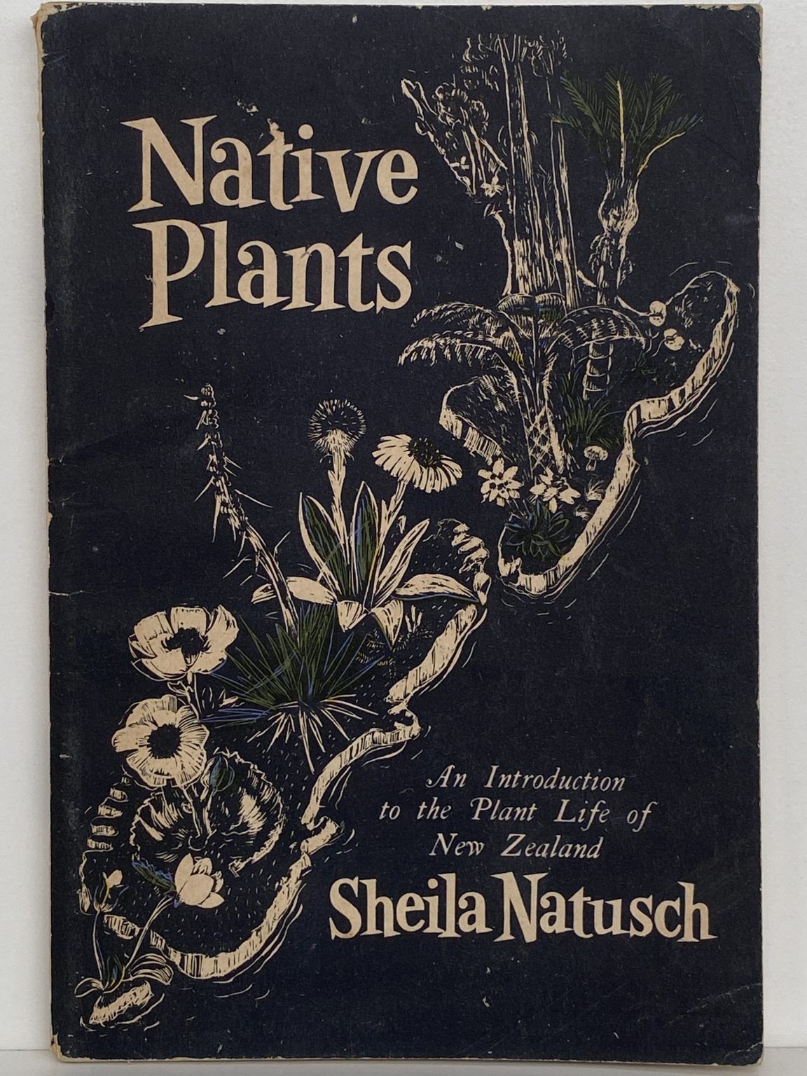 NATIVE PLANTS: An Introduction to the Plant Life of New Zealand