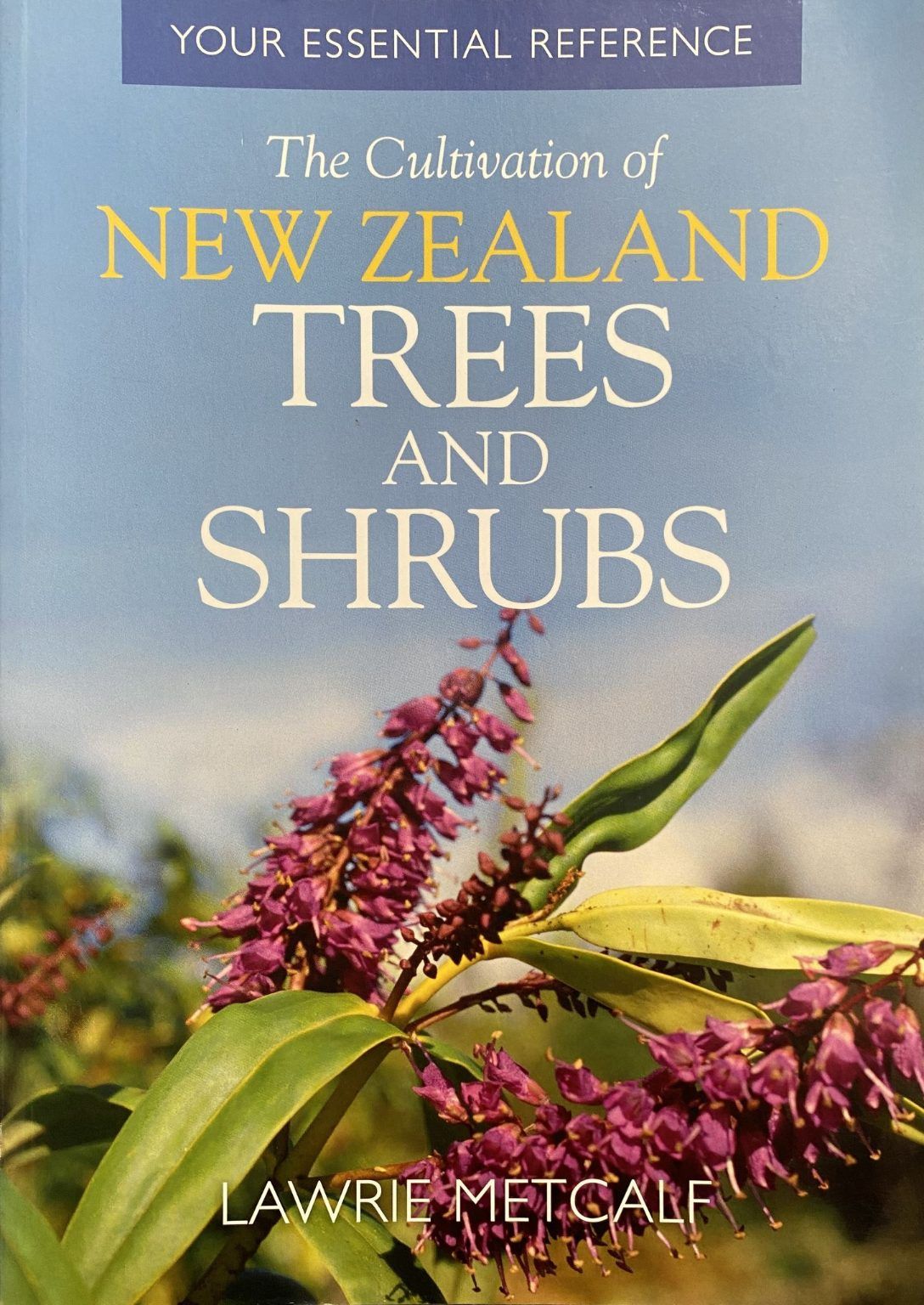 TREES AND SHRUBS OF NEW ZEALAND