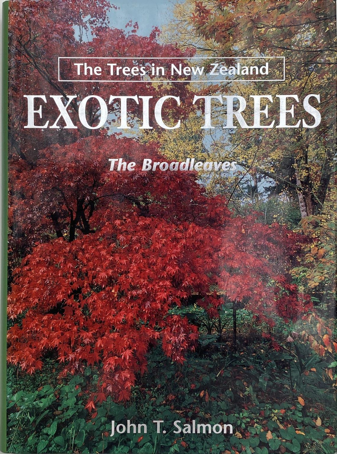 EXOTIC TREES IN NEW ZEALAND: The Broadleaves